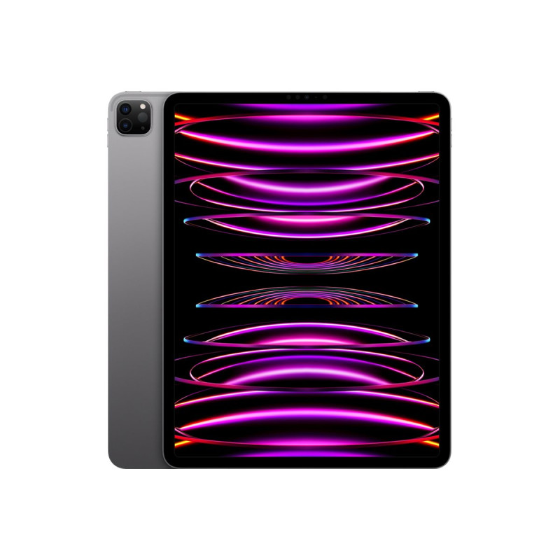 iPad Pro 12.9" Wi-Fi 1TB - Space Gray 6th Gen
