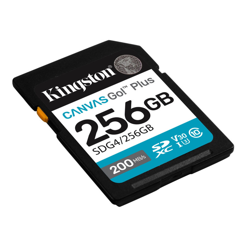 KINGSTON 256GB UHS-I SD Memory Card (Class 10, U3, V30)
