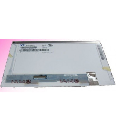IVO M101NWT2