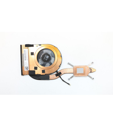 Thermal Module, AVC