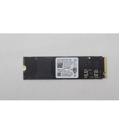 256GB M.2 NVMe SSD with PCIe