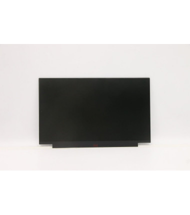 Lenovo 02HL701 13.3-inch HD TN Anti-Glare