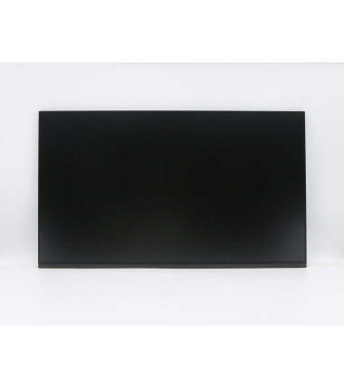 Lenovo 01AG986 23.8-inch Full HD LED Touch
