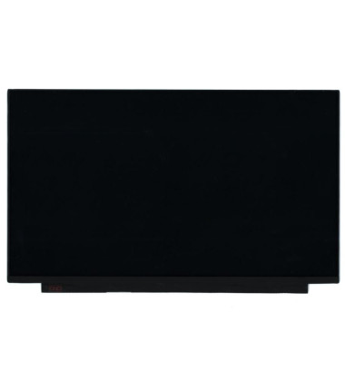 Lenovo 5D10S74987 15.6" HD TN Anti-Glare display