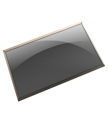Dell M2JM1 LCD, Non Touch Screen, 14.0