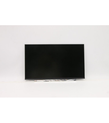 Lenovo 5D11B81964 FRU IN N140BGA-EA4 C4 HDT
