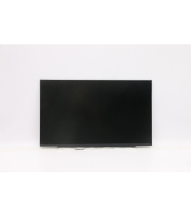 Lenovo 5D11C12732 14.0-inch FHD TN display