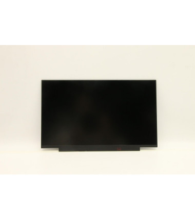 Lenovo 5D11C67446 14.0-inch FHD IPS display