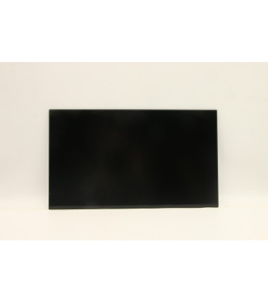 Lenovo 5D10Y75650 15.6-inch FHD IPS LCD panel