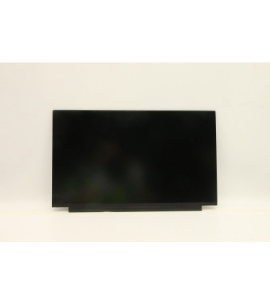 Lenovo 5D11F30432 15.6-inch FHD TN display