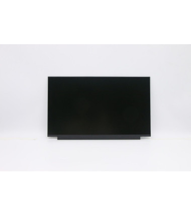 Lenovo 5D10W35433 15.6" HD TN display panel