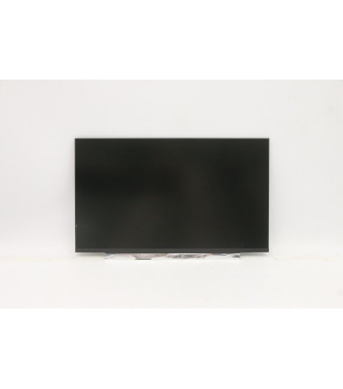 Lenovo 5D10W46414 14-inch HDTN LCD display, 220