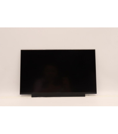 Lenovo 5D11B48759 14.0-inch FHD IPS display