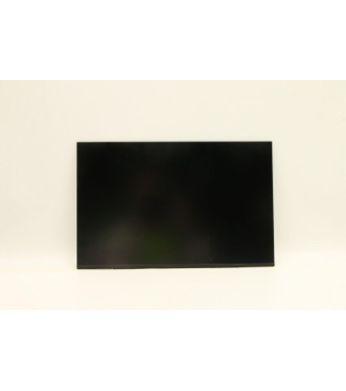 Lenovo 5D10V82366 14.0-inch WUXGA LED display