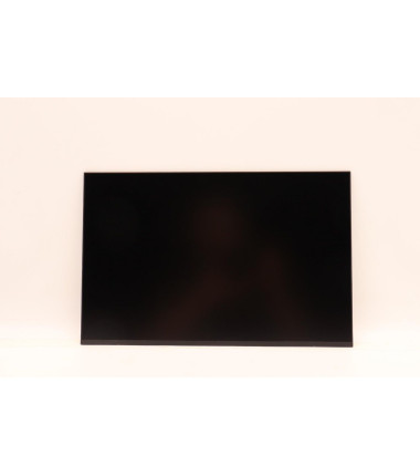 Lenovo 5D10V82399 14.0" WUXGA AG LCD display