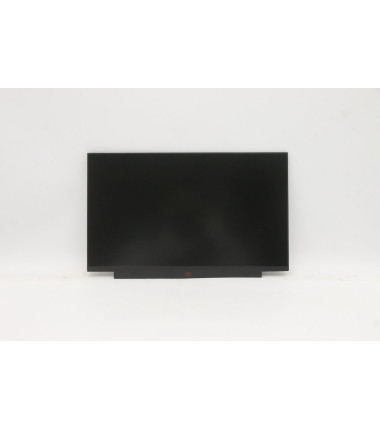 Lenovo 5D11U13978 13.3-inch FHD IPS anti-glare