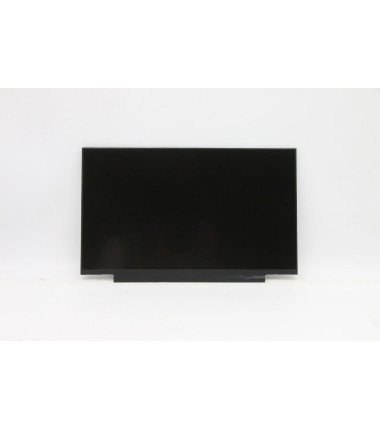 Lenovo 5D11U14246 14.0-inch FHD IPS anti-glare