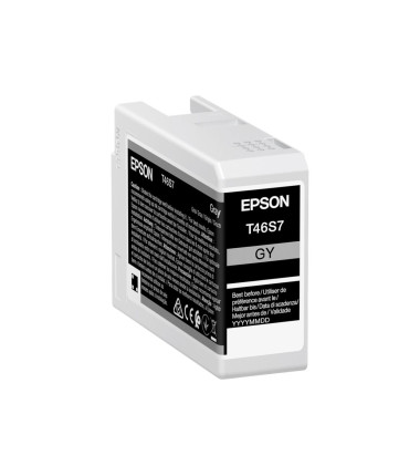 Epson UltraChrome Pro 10 ink | T46S7 | Ink cartrige | Grey