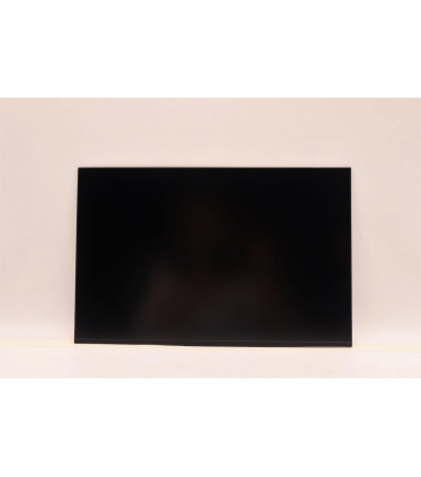 Lenovo 5D10V82364 14-inch WUXGA anti-glare IPS