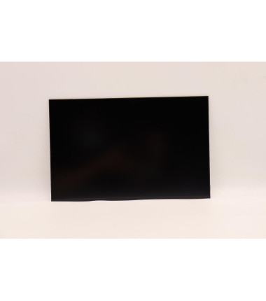 Lenovo 5D10V82395 14.0-inch WUXGA LCD display