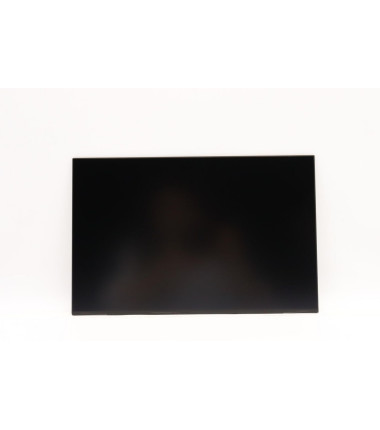Lenovo 5D10V82396 14.0-inch WUXGA AG IPS