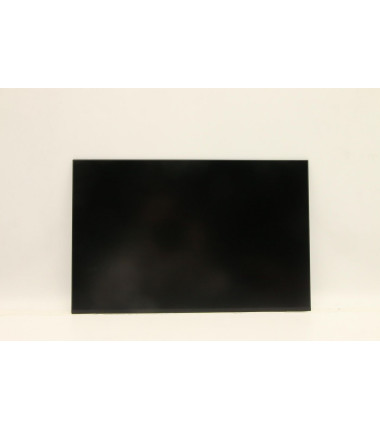 Lenovo 5D10V82408 16-inch IPS LCD panel, WUXGA