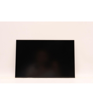 Lenovo 5D11D34360 13.3-inch WUXGA IPS laptop