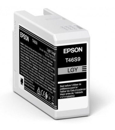 Epson UltraChrome Pro 10 ink | T46S9 | Ink cartrige | Light Gray