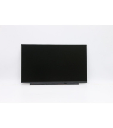 Lenovo 5D10W46421 15.6" FHD IPS LCD display