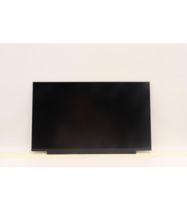 Lenovo 5D11C12738 15.6" FHD Touch LCD Screen