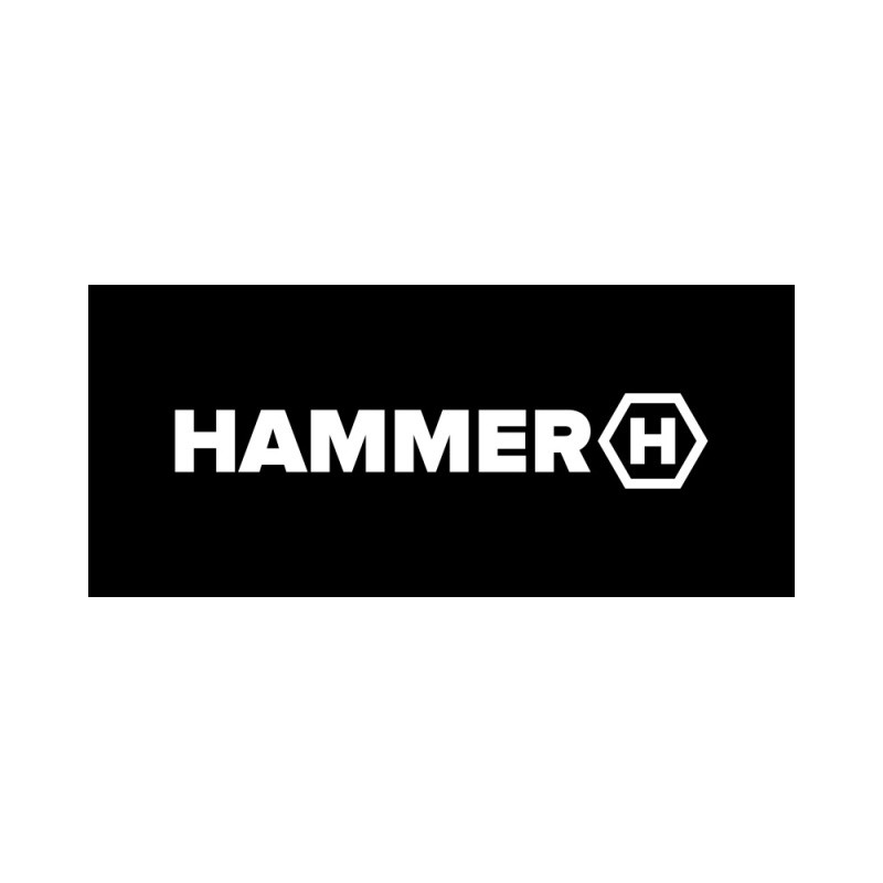 Hammer logo Hammer logo