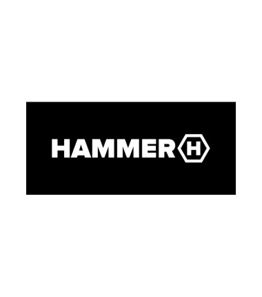 Hammer logo